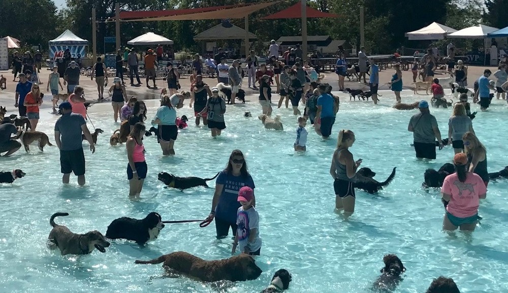 Family celebrating with arms up in wave pool