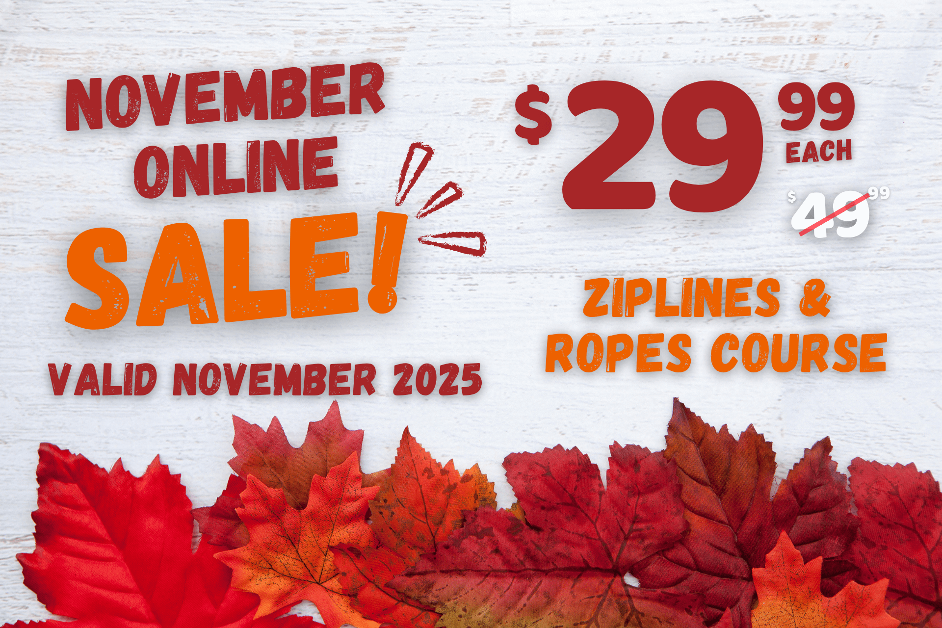 Zip November 2025 1920 x 1280 px Lady flying down zipline