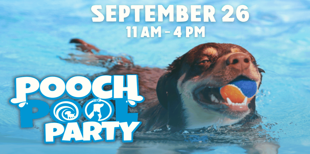 Pooch-Pool-Party-2026-1000-x-497 Go again and again with a Gold Season Pass for $69.99